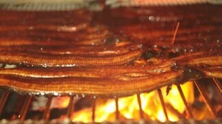 「完全養殖ウナギ」手頃な価格で食卓に並ぶ日は来るのか? 試験販売で即日完売、10万尾量産へ | 大分のニュース|OBS NEWS|大分放送