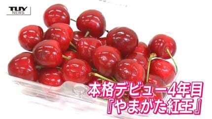 やまがた紅王』出荷基準の見直しへ 「紅王＝大玉」の方針は崩さず