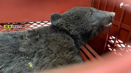 img_a44720137d9ce7edc3e95c1f4d