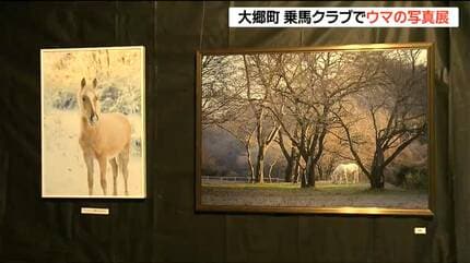 サラブレッドの躍動を捉える 乗馬クラブで飼育されている馬の「写真展