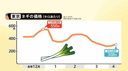 曲線美。山採りネジキ。 ネギ買ってきて」あなたは白・青どっち？ 出荷量アップ！冬よりお手頃