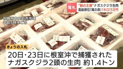 めったに出あうことができない」 ナガスクジラの生肉が札幌の卸売市場