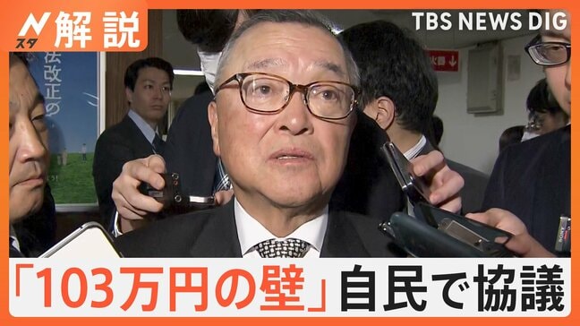 「103万円の壁」引き上げに向け 自民・税調幹部が制度など協議、星浩氏「議論を密室で行うことには限界」【Nスタ解説】|TBS NEWS DIG