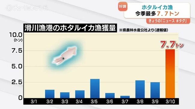 初日1.3キロ→翌日1.3トン！ホタルイカ漁の水揚げ「1000倍」に爆増 今季最多7.7トン水揚げで豊漁の予感 富山|TBS NEWS DIG
