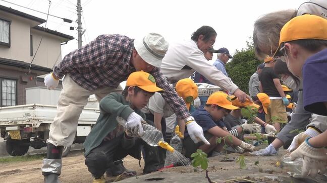 サツマイモの苗植え 高齢者が手ほどき 子どもたちが地域住民と農業で交流 山梨・笛吹市|TBS NEWS DIG