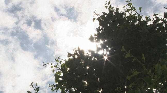 【速報】小松で35.1度 石川県内今年初の「猛暑日」に|TBS NEWS DIG