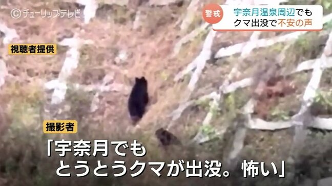 クマ出没相次ぐ 富山を代表する温泉街周辺に2頭のクマ...動画撮影者「とうとうクマ出没 怖い」富山県・黒部市|TBS NEWS DIG