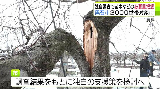 「農家の心のケアも取りながら」高騰する農業生産資材 そこに追い打ちかけた“豪雪被害”… 黒石市が独自で聞き取り調査・支援策を検討へ “豪雪”による農業被害が過去最大の214億円の青森県|TBS NEWS DIG