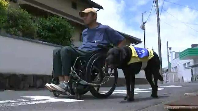 体の不自由な人をサポートする介助犬 “ダイキチ” が引退へ　8年間ともに過ごした男性が伝えたいこと【岡山】|TBS NEWS DIG