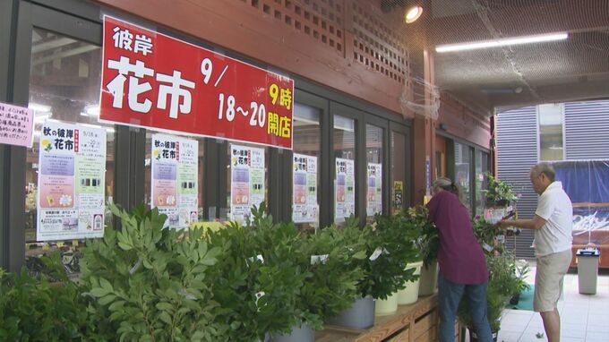 恒例の秋の彼岸花市開催　島根県安来市の道の駅あらエッサ|TBS NEWS DIG