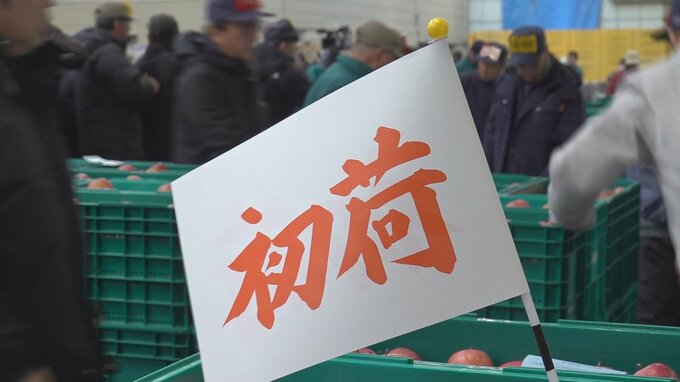 「非常に良いスタートが切れた」リンゴの初競り『りんご初市』　「サンふじの上玉」が1箱20キロ当たり1万6200円と過去最高値　市場に活気|TBS NEWS DIG