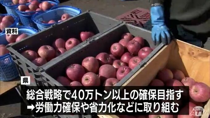 過去2番目の少なさに　2025年に青森県内で収穫されたリンゴは35万1400トン　40万トンを割り込むのは3年連続　県は引き続き労働力の確保や省力化などに取り組むことに|TBS NEWS DIG