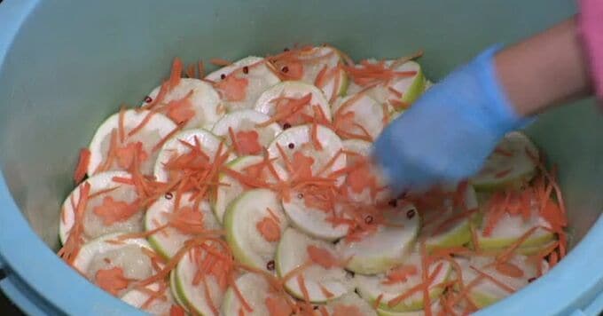 正月のおせちに欠かせない「かぶら寿し」 漬け込みが最盛期|TBS NEWS DIG