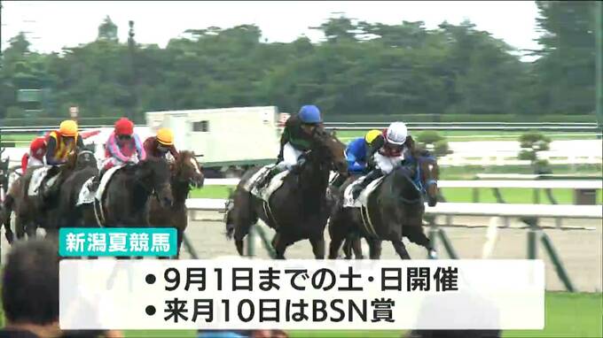 ファン待望の中央競馬の夏開催はじまる　初めて3時間半の休憩時間設け人馬の安全に配慮　新潟　|　新潟のニュース・天気｜BSN NEWS｜BSN新潟放送