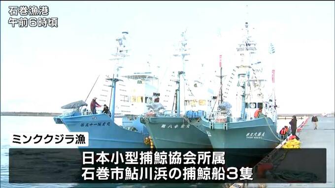 「捕獲枠を全頭とるため頑張りたい」捕鯨船が三陸沖でミンククジラ漁へ　鮎川港拠点に商業捕鯨スタート　宮城・石巻市|TBS NEWS DIG
