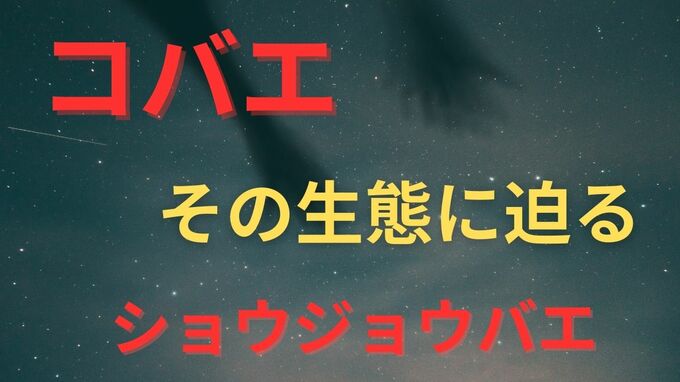 「プロポーズをしてふられたらやけ酒をあおる」ショウジョウバエの生態とは【画像閲覧注意】　|　岡山・香川のニュース | 天気 | RSK山陽放送