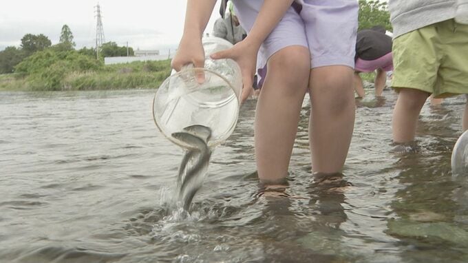 神奈川・小田原市でアユの放流体験　約300人の親子が参加　約5000匹の稚魚が川へ放たれる|TBS NEWS DIG