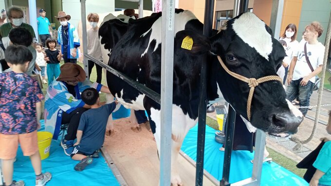 来週の“父の日”を前に 大分市で「牛乳（ちち）を贈ろう」キャンペーン　|　大分のニュース｜OBS NEWS｜大分放送