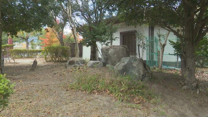 スズメバチに刺され9人が病院で治療 公園を管理する市が過失認め治療費など賠償へ【愛媛】　|　愛媛のニュース - Nスタえひめ｜あいテレビは6チャンネル