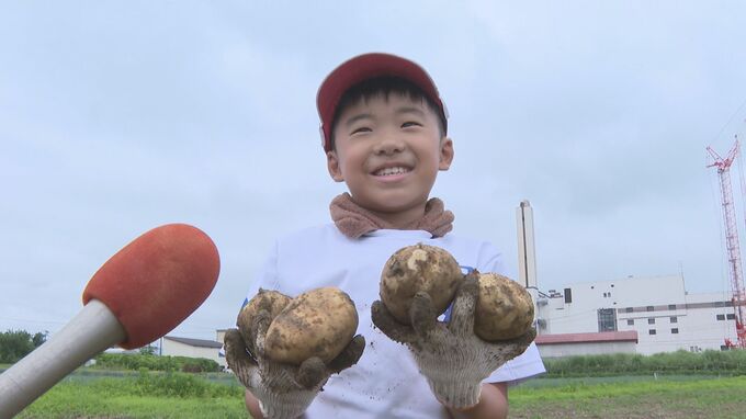 「ポテトサラダにして食べたい」大きいおいもがゴロゴロと…小学生がジャガイモ収穫体験　福島・会津若松市　|　福島のニュース│TUF