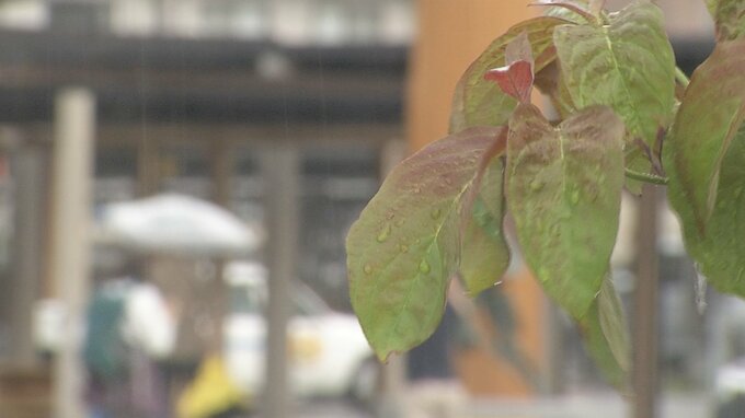 5月６日は立夏　大分県内は７日雨　天気回復は連休明け　|　大分のニュース｜OBS NEWS｜大分放送