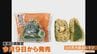 愛知の大学生が地元食材を使った｢おにぎり｣を開発 若者向けの味付けで“コメ余り”の回復に… 東海3県のセブン－イレブンで販売　|　名古屋・愛知・岐阜・三重のニュース【CBC news】 | CBC web