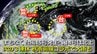 【台風情報】今夜までに台風15号発生へ　台風13号は熱帯低気圧に　台風14号は沖縄方面へ　21日からの３連休は秋雨前線とコラボで大雨の可能性も　日米欧の進路予想比較【22日までの雨・風シミュレーション】|TBS NEWS DIG