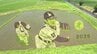 大谷翔平選手をデザインした田んぼアート、間もなく見ごろ　岩手・奥州市　|　IBC NEWS | IBC岩手放送