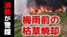 火災急増！梅雨前の「枯草焼却」に消防が警鐘　長崎県央地区で5月として過去5年で最多　　|　長崎のニュース | 天気 | NBC長崎放送