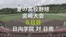 夏の高校野球県大会８日目　２回戦　日向学院vs日南　|　MRTニュース ｜ ＭＲＴ宮崎放送