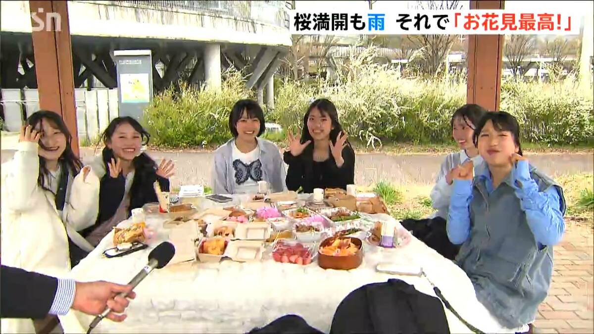 サムネイル_桜満開の新潟市もあいにくの雨…でも「お花見最高!」