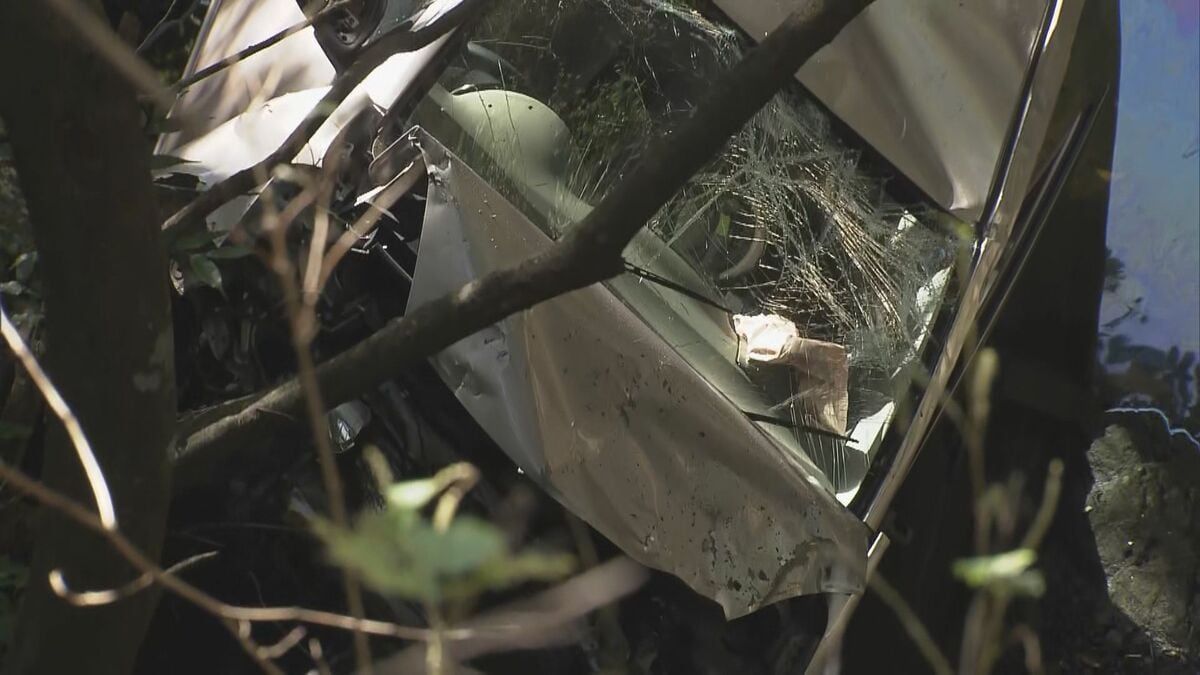 軽乗用車が約20メートル下の川に転落 46歳男性死亡 下り坂のカーブ回り切れずガードレール越えたか 三重・南伊勢町