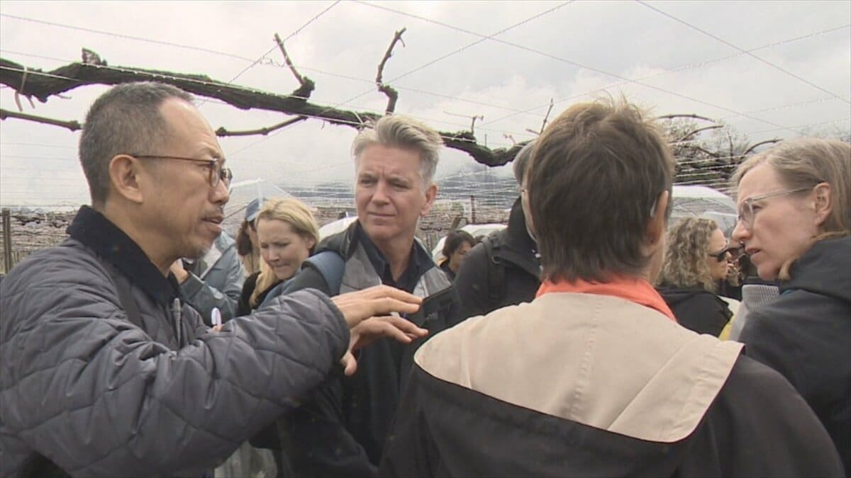 「世界中のワインと肩を並べられる」マスターオブワインがワイナリーを視察　県産ワインの魅力を体感　山梨・勝沼醸造