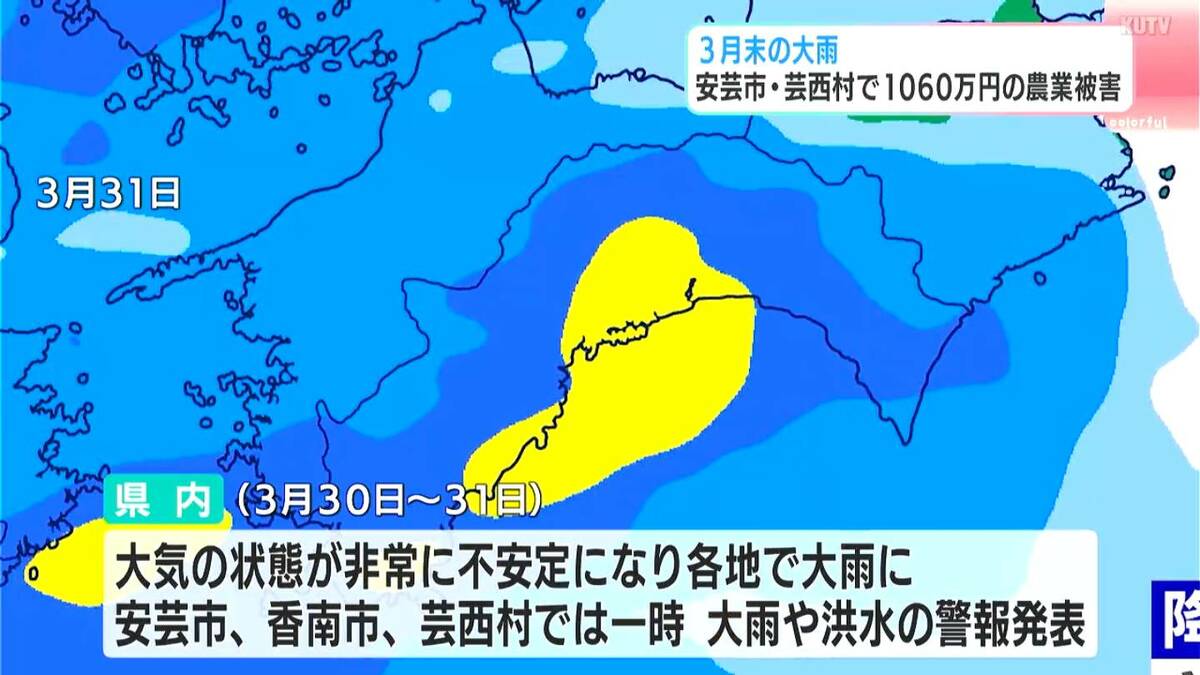 「春の嵐」で農業被害