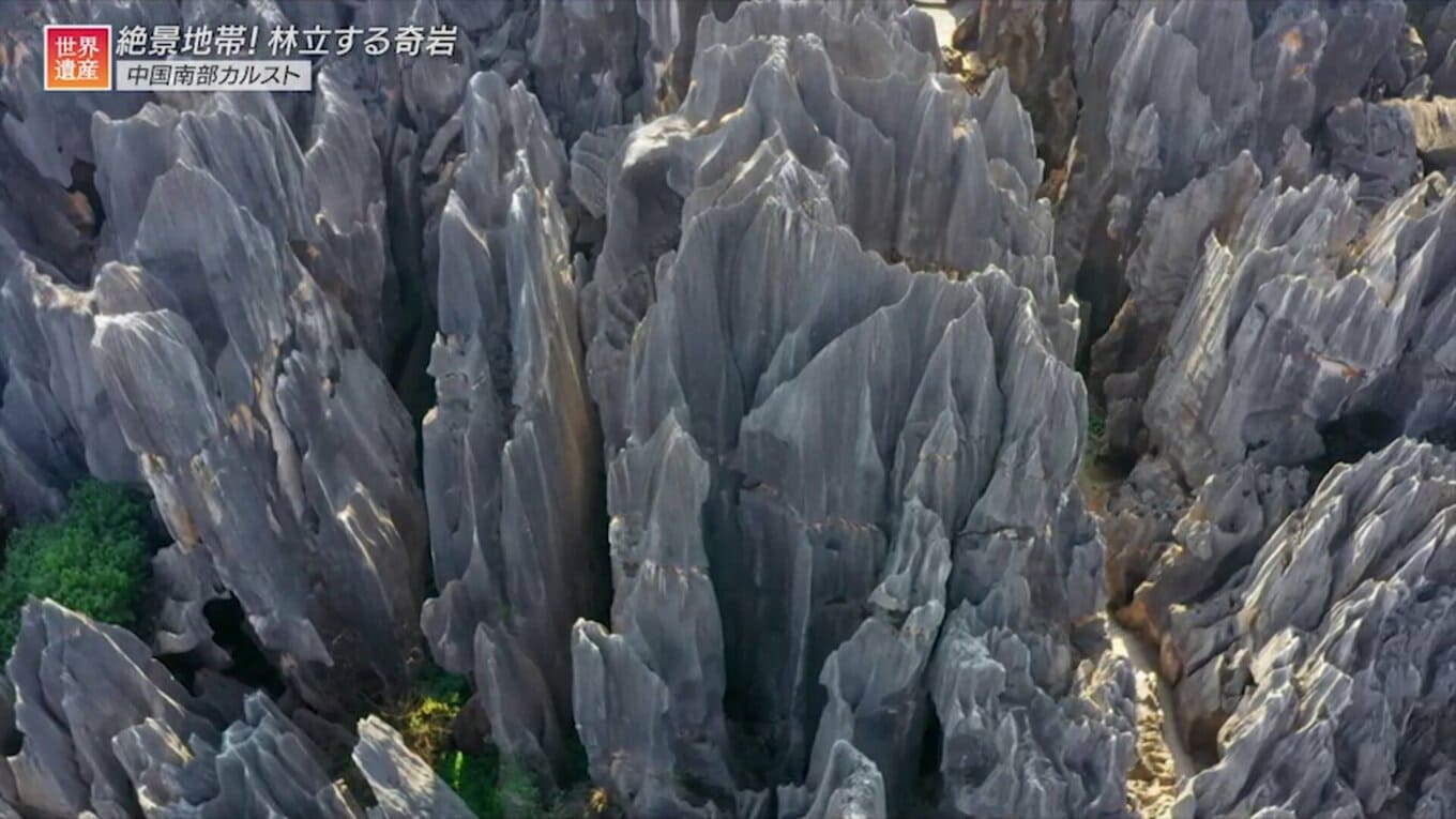 絶景を生む奇岩の群れ！石灰岩と世界遺産の深～い関係【世界遺産／中国南部カルスト（中国）】 | TBS NEWS DIG (2ページ)