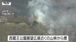 西蔵王地区山林火災は現在も延焼中　煙の勢いは収まったか（山形市）|TBS NEWS DIG