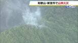 和歌山・新宮市の山林から煙…火災とみて消防が現場に急行　防災ヘリは定期検査で運休中、奈良県の防災ヘリに応援を要請|TBS NEWS DIG
