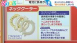 「ネッククーラー」冷蔵庫にしまいっぱなしはNG!「日傘」「ハンディファン」夏の必需品のしまい方【ひるおび】|TBS NEWS DIG