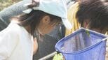身近な川に関心を「いろんな生き物がいる！」水辺の生き物観察会|TBS NEWS DIG