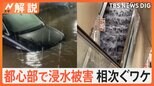 「記録的短時間大雨情報」発表されたら? 東京・埼玉を襲ったゲリラ豪雨【Nスタ解説】|TBS NEWS DIG