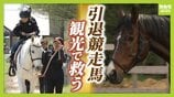 引退競走馬の「第二の馬生」　長く生きられない馬もいる現実…　観光で現状変えるべく奮闘する牧場運営者たち「少しずつでも幸せに過ごせる馬を増やしたい」　|　MBSニュース | 関西の最新ニュースを分かりやすく。