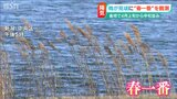 「春一番」とは? 立春~春分の間に初めて吹く“暖かい南よりの強い風” | 新潟のニュース・天気|BSN NEWS|BSN新潟放送