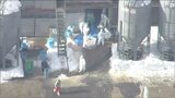 酷寒の中で… 県職員が過酷な防疫作業「メンタルに不安」 新潟県村上市の鳥インフルエンザ | 新潟のニュース・天気|BSN NEWS|BSN新潟放送