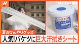 お盆休みに向け暑さ対策は“長さ１メートル”の巨大汗拭きシートが人気　3連休も危険な暑さ続く【Nスタ解説】|TBS NEWS DIG