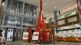 高さ6メートルの「ほおずきタワー」登場 1万個使用の巨大な塔に市民仰天 大分 | 大分のニュース|OBS NEWS|大分放送