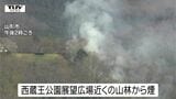 西蔵王地区山林火災は現在も延焼中　煙の勢いは収まったか（山形市）　|　山形のニュース│TUYテレビユー山形