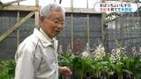 82歳エビネに魅せられ半世紀 40歳で退職し冠岳のふもとでエビネ専門店【きばっちょいもす】|TBS NEWS DIG