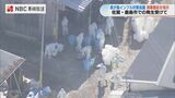 「鶏舎の周りには 既にウイルスが潜んでいると 強く認識を!」鳥インフル対策会議 | 長崎のニュース | 天気 | NBC長崎放送