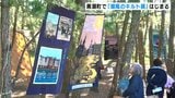 全国からパッチワークキルトやキルトのクッションなど合わせて１１６点「潮風のキルト展」はじまる　|　高知のニュース・天気｜KUTV NEWS | KUTVテレビ高知