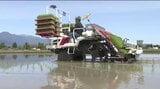 残雪の北アルプスを映す田んぼに…長野県内有数の米どころ安曇野市で早くも田植え…JAあづみ管内で例年並みの約2000ヘクタールの作付け予定…5月中旬がピーク|TBS NEWS DIG